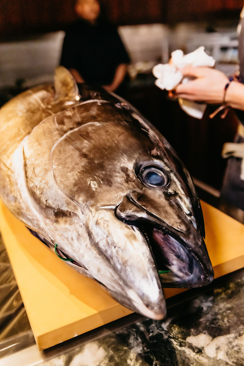 A close study of the bluefin&rsquo;s eye and silver scale
